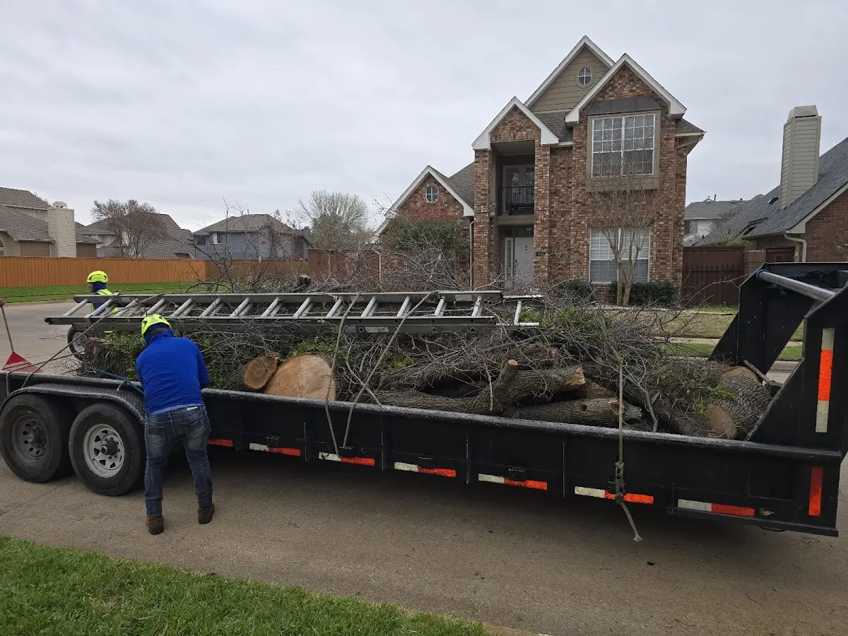Expert Lot Clearing with proper safety equipment in Healy